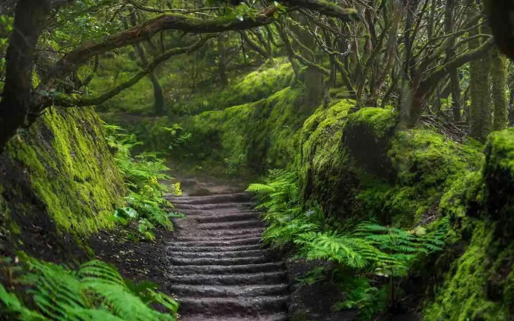 LA GOMERA TERENÓWKĄ